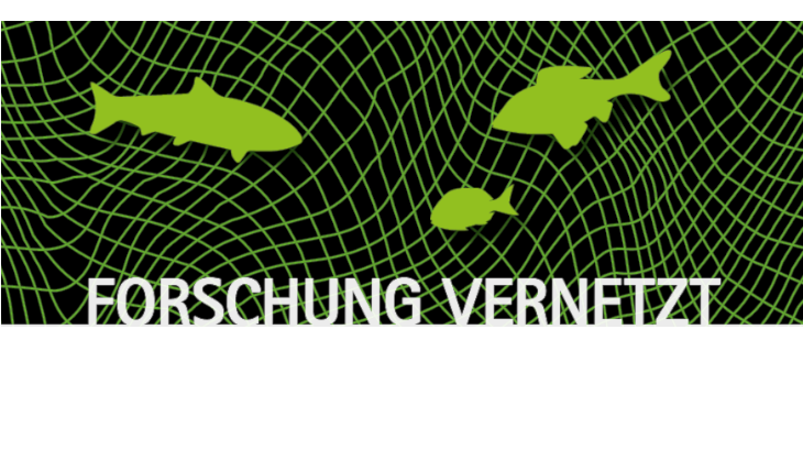 Postcard "Forschung vernetzt" © Katja Kottwitz